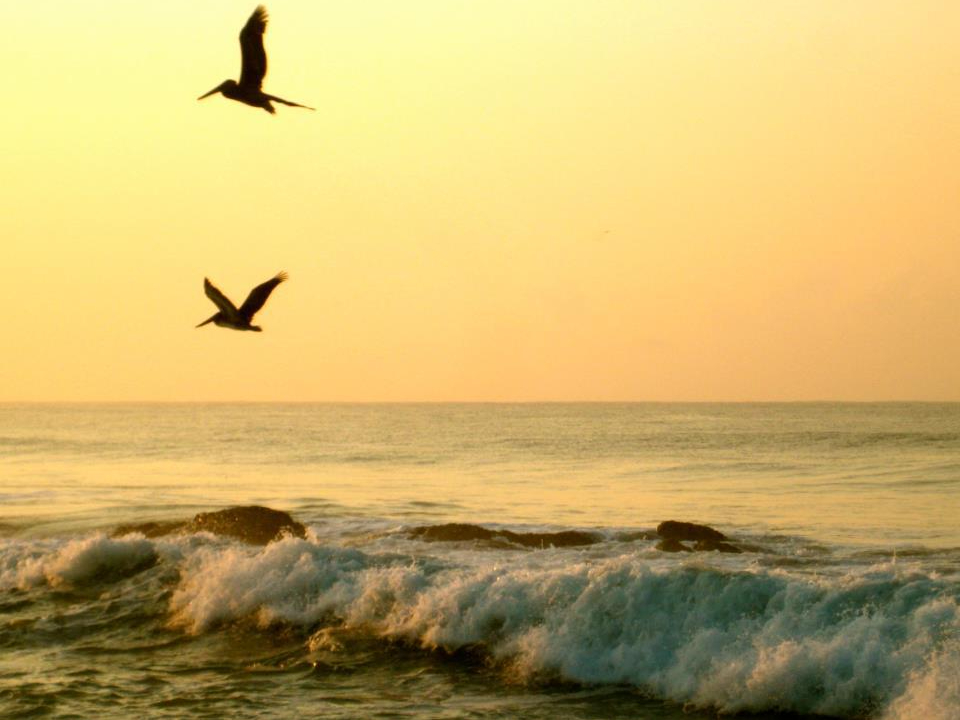 382199_127206830788432_1569631082_n