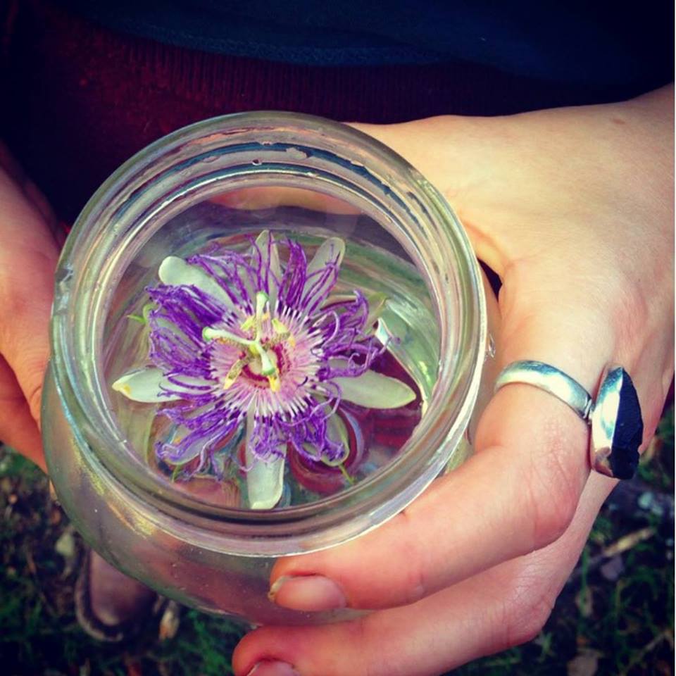 75242053_10157700985319836_528225031164002304_n